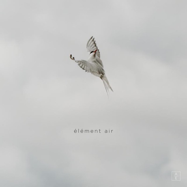 Cover artwork for Element Air by Aurelia Evgenia, mastered by Sontale Mastering